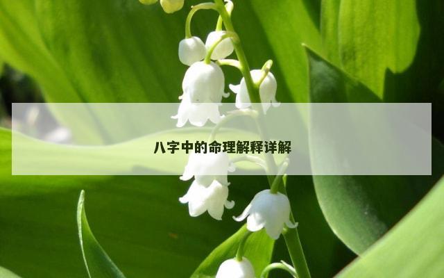 八字中的命理解释详解