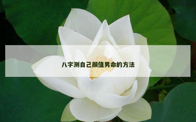 八字测自己颜值男命的方法