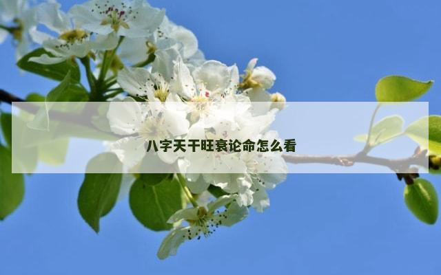八字天干旺衰论命怎么看
