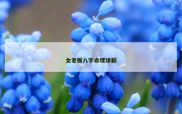 女老板八字命理详解
