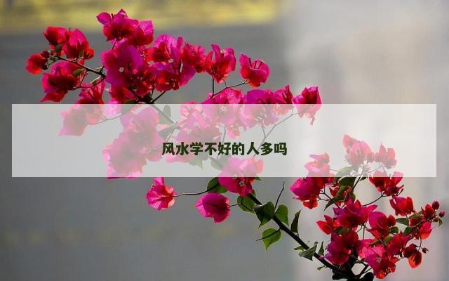 风水学不好的人多吗