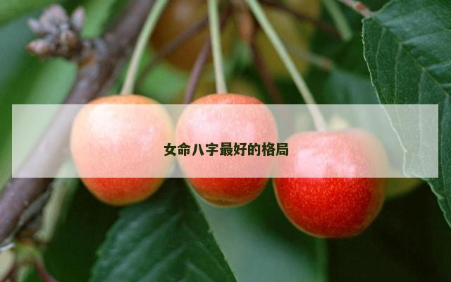 女命八字最好的格局