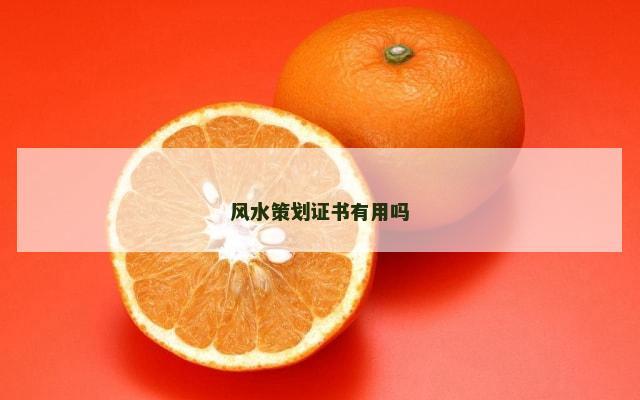 风水策划证书有用吗