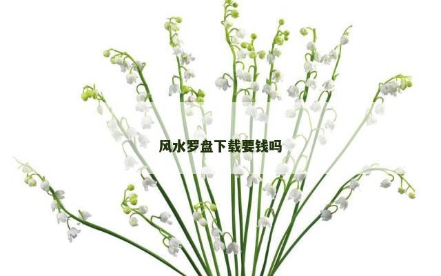 风水罗盘下载要钱吗