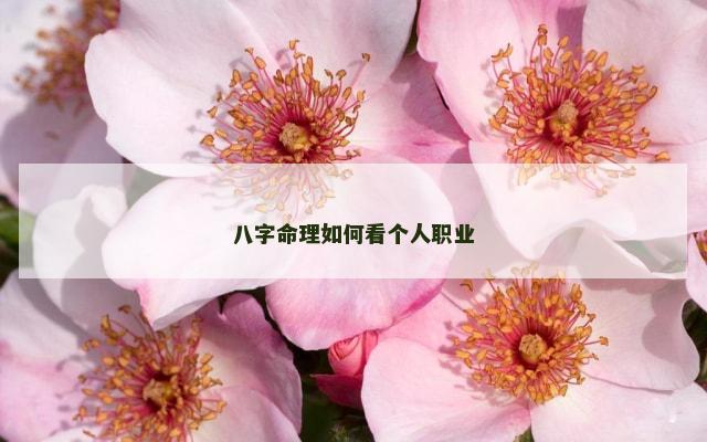 八字命理如何看个人职业