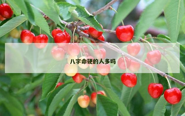 八字命硬的人多吗