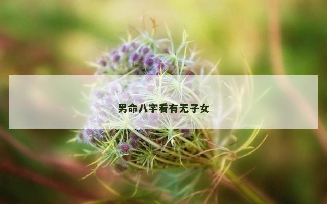 男命八字看有无子女
