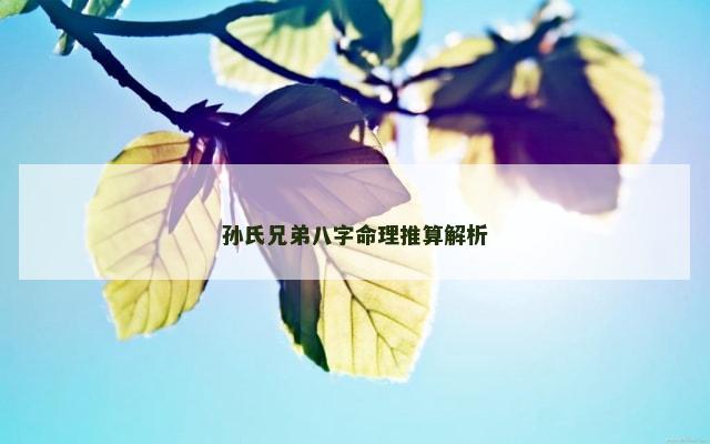 孙氏兄弟八字命理推算解析