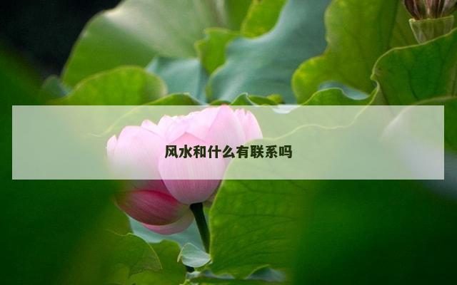 风水和什么有联系吗