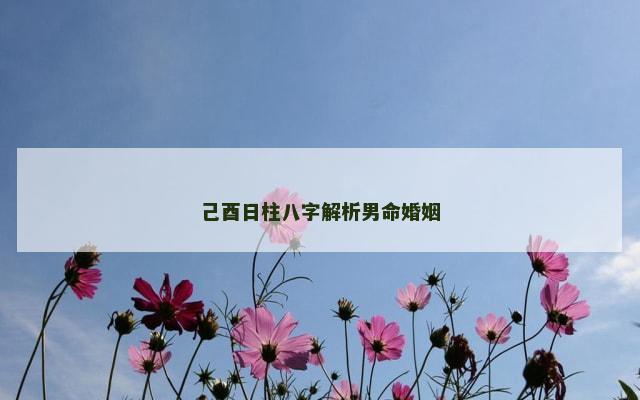 己酉日柱八字解析男命婚姻