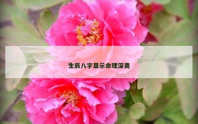 生辰八字显示命理深奥