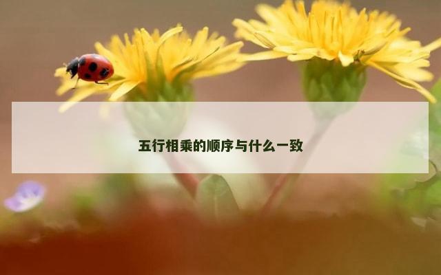 五行相乘的顺序与什么一致