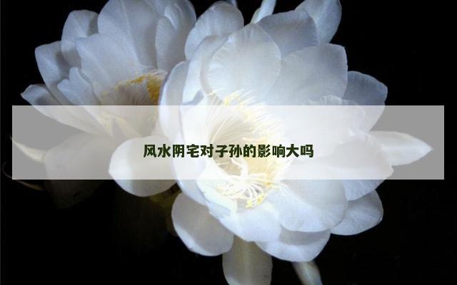 风水阴宅对子孙的影响大吗