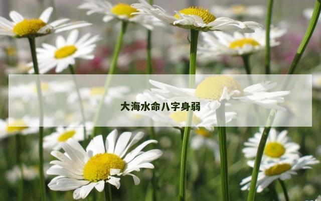 大海水命八字身弱
