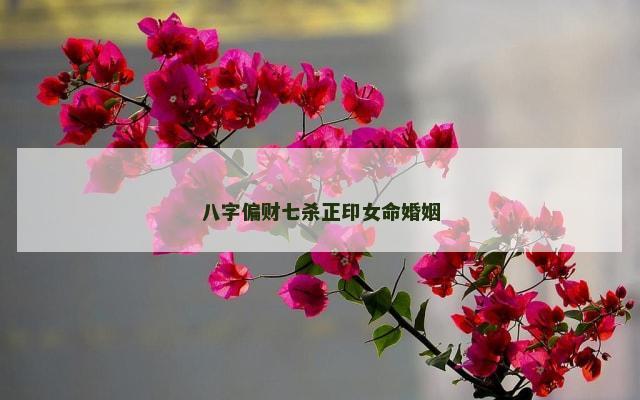 八字偏财七杀正印女命婚姻