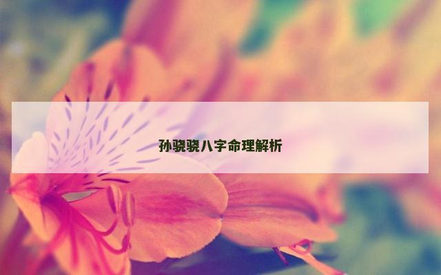 孙骁骁八字命理解析