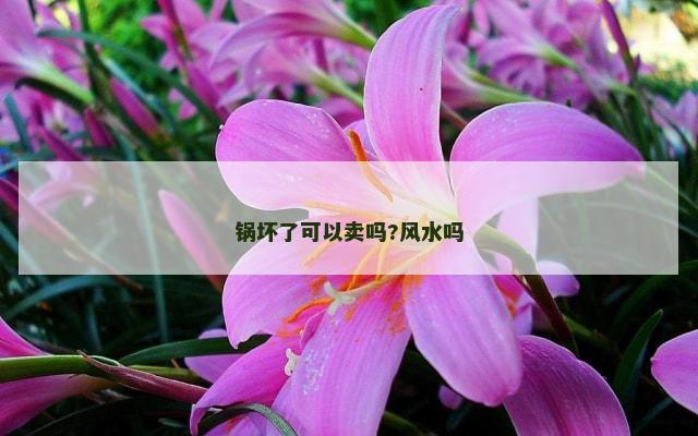 锅坏了可以卖吗?风水吗