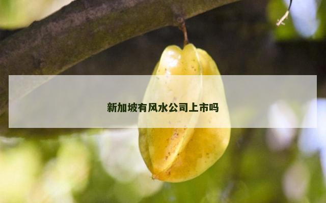 新加坡有风水公司上市吗