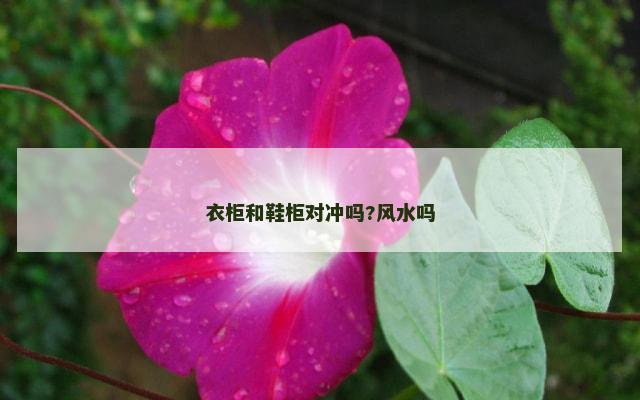 衣柜和鞋柜对冲吗?风水吗