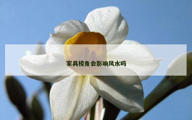 家具棱角会影响风水吗