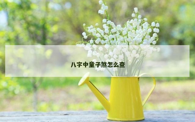 八字中童子煞怎么查