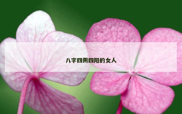 八字四阴四阳的女人