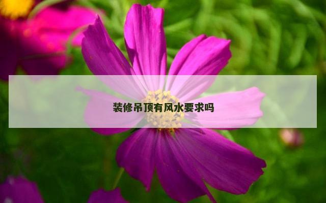 装修吊顶有风水要求吗