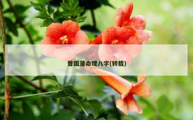 曾国藩命理八字(转载)