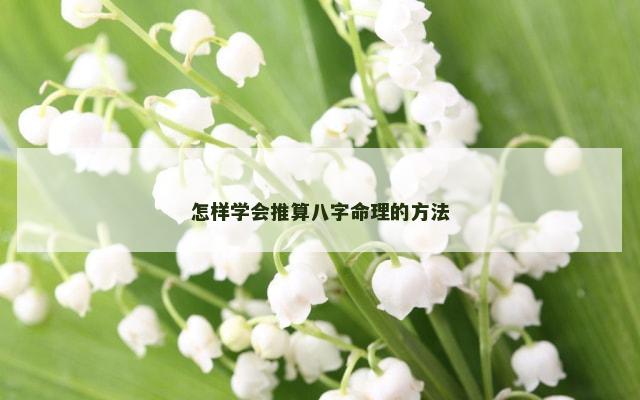 怎样学会推算八字命理的方法