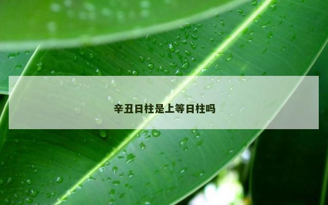 辛丑日柱是上等日柱吗