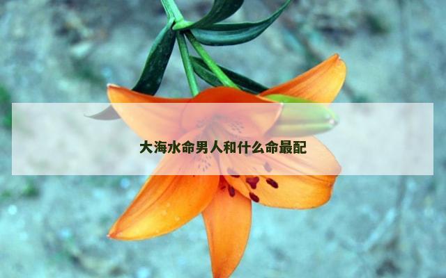 大海水命男人和什么命最配