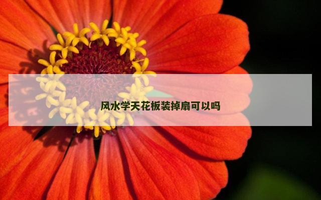 风水学天花板装掉扇可以吗