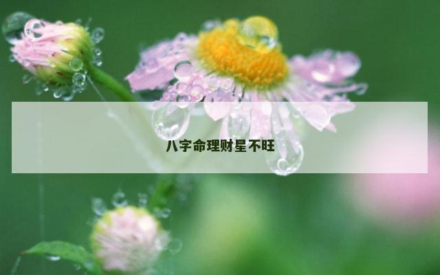八字命理财星不旺