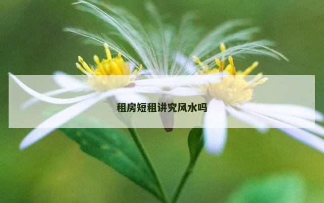 租房短租讲究风水吗
