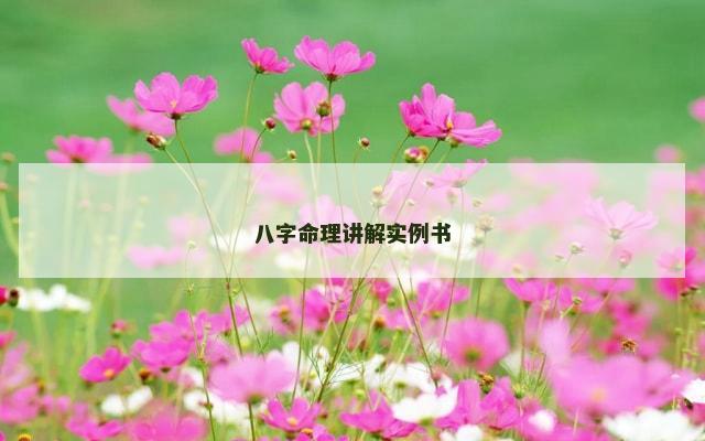 八字命理讲解实例书