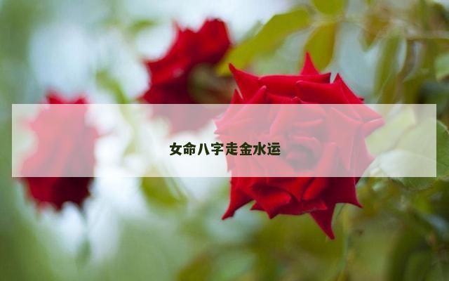 女命八字走金水运