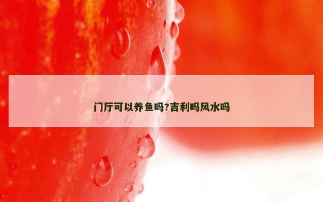 门厅可以养鱼吗?吉利吗风水吗