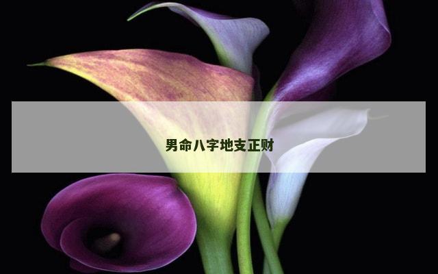 男命八字地支正财