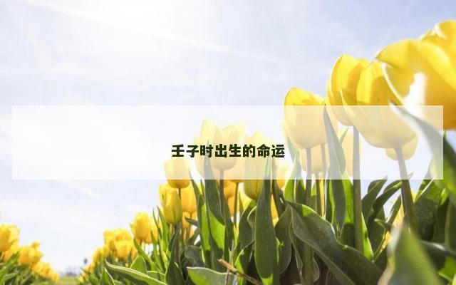 壬子时出生的命运