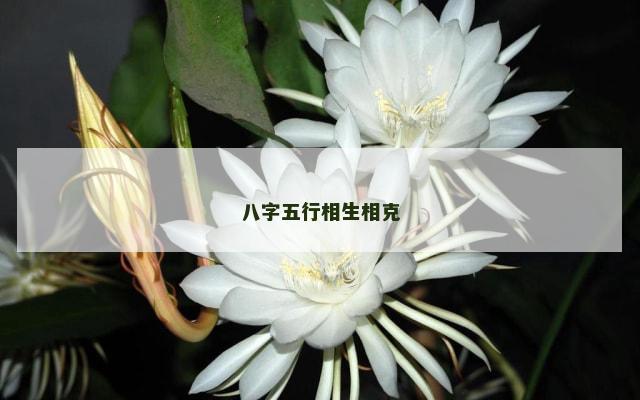 八字五行相生相克
