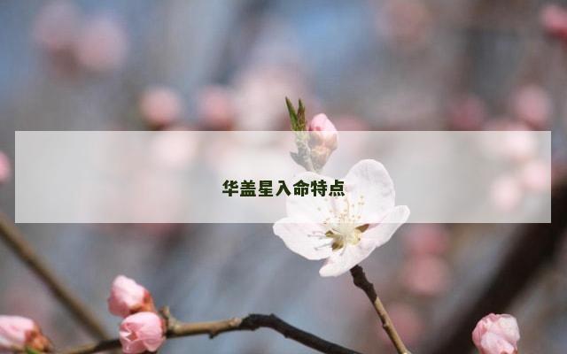 华盖星入命特点