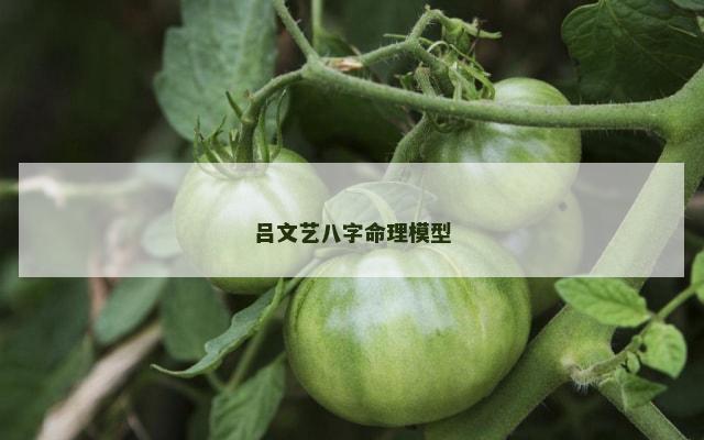吕文艺八字命理模型