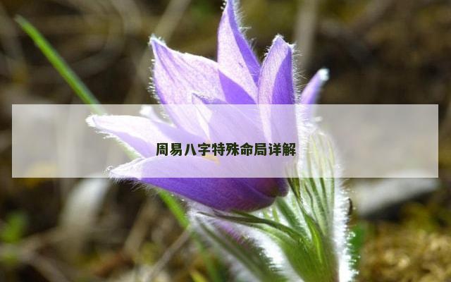 周易八字特殊命局详解