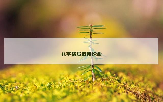 八字格局取用论命