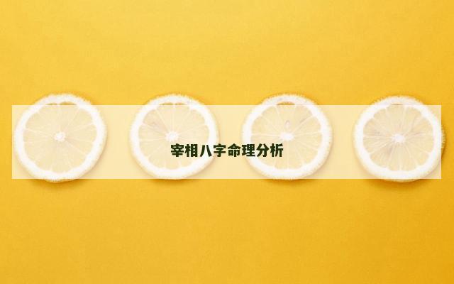 宰相八字命理分析