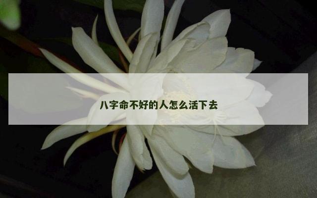 八字命不好的人怎么活下去