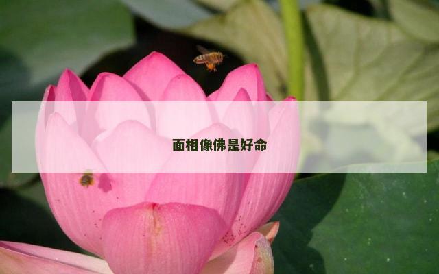 面相像佛是好命