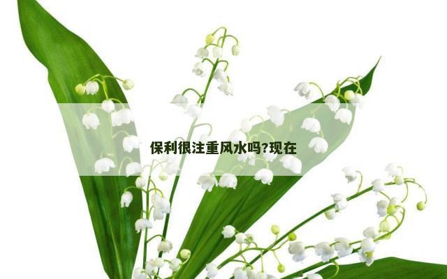 保利很注重风水吗?现在