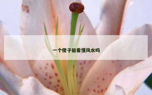 一个傻子能看懂风水吗