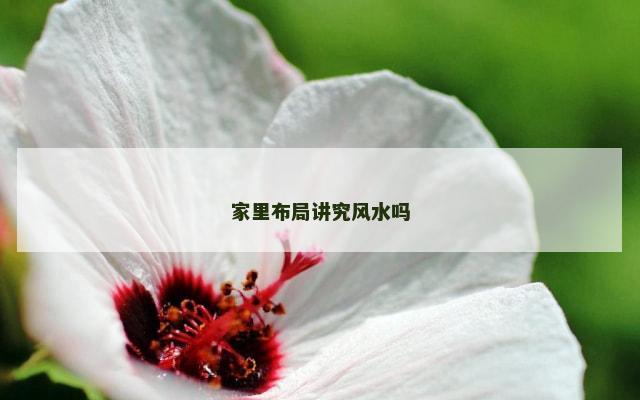 家里布局讲究风水吗